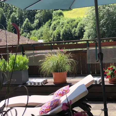 Hotel-pension Faneskla Guest house Silbertal