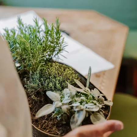 Hotel-pension Faneskla Pensionat Silbertal