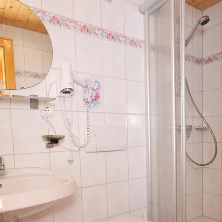 Guest house Hotel-pension Faneskla