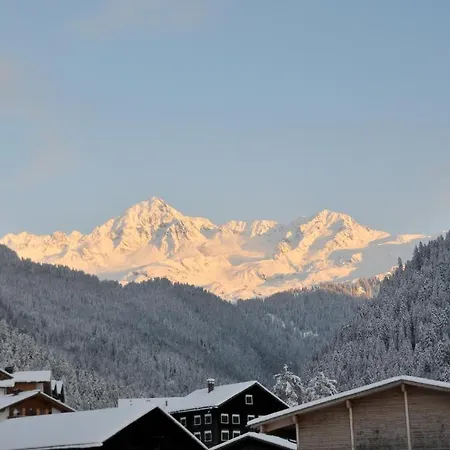 Pensionat Hotel-pension Faneskla Silbertal