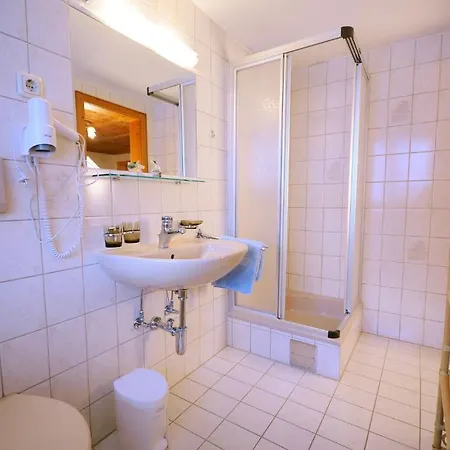 Hotel-pension Faneskla Guest house Silbertal