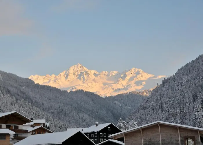 בית הארחה Hotel-pension Faneskla סילברטל